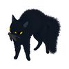 cat3nvy