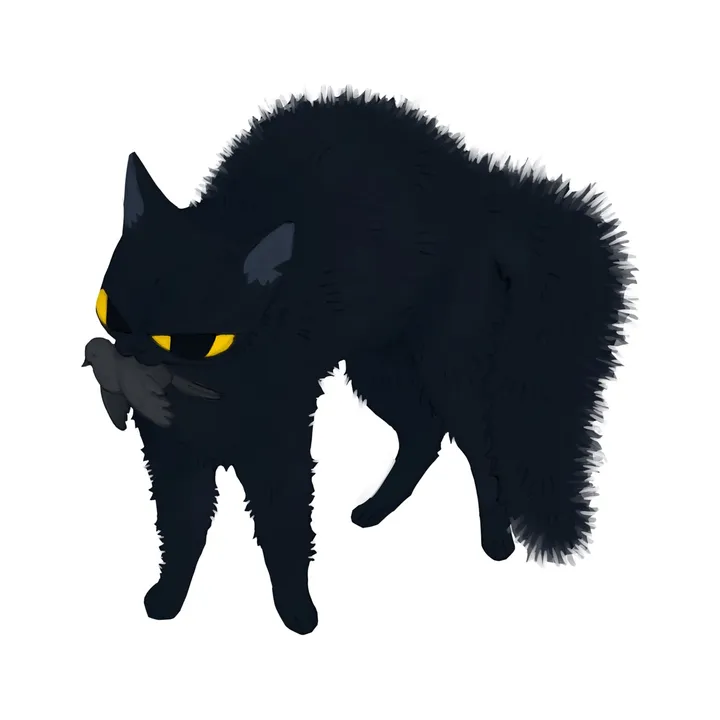 cat3nvy