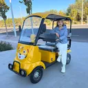 @minibusev_electrocar