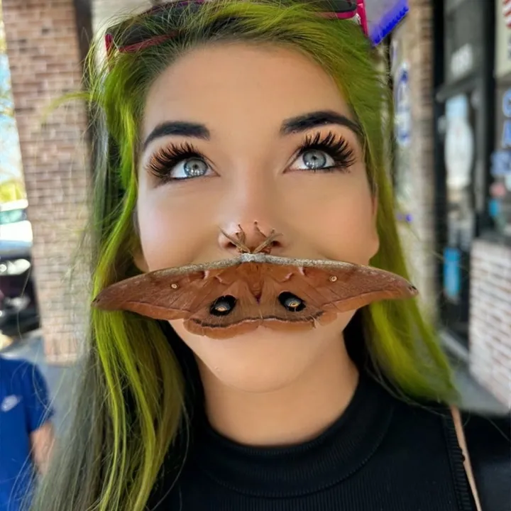 din0kitten369