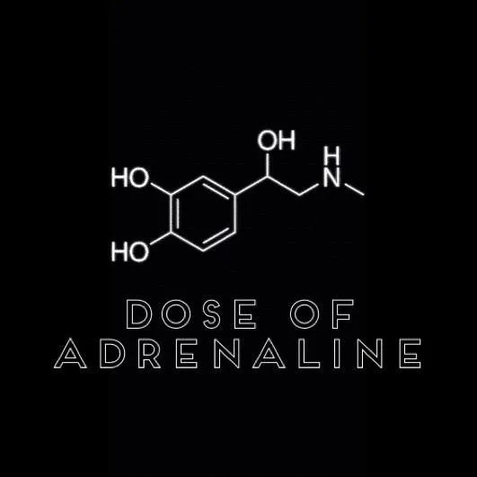 theadrenalinefam