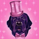 @bentleyandbuster