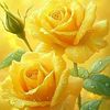 fabihafatima19