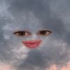 emermbiemervendlindje