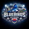 thebluebirdsnetwork