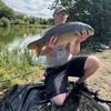 no.bream.allowed