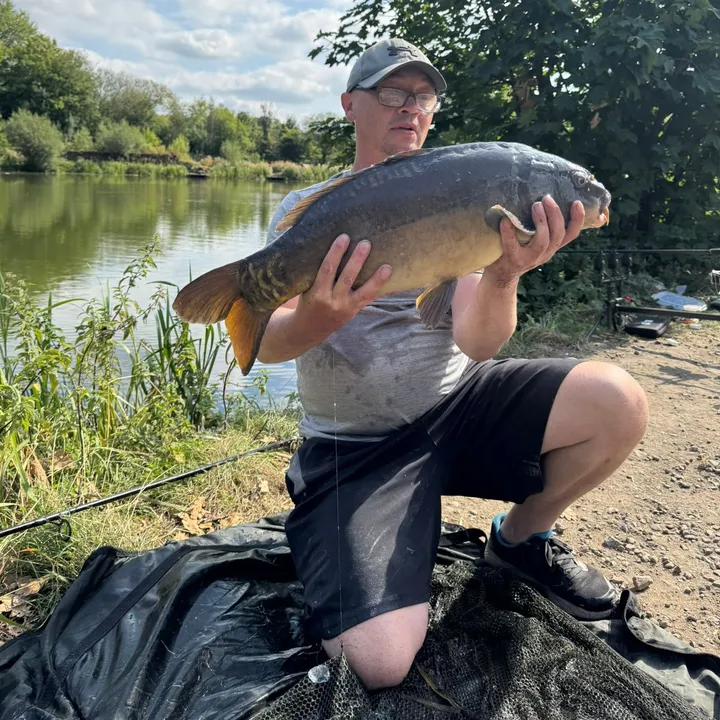 no.bream.allowed