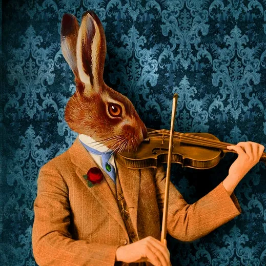 @rabbitspace_