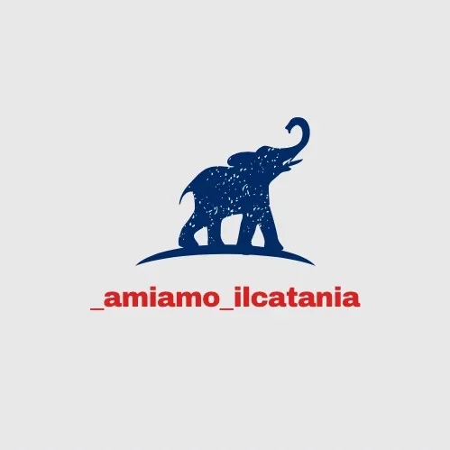 @_amiamo_ilcatania