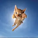 @crescenthdishappy