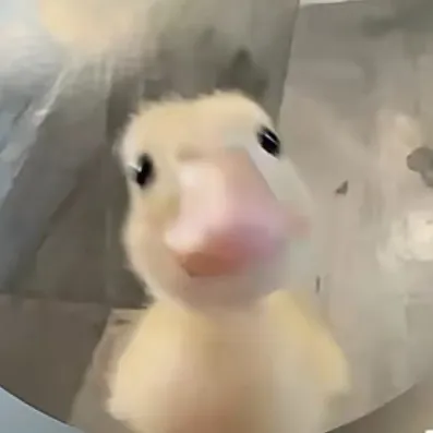 @gumball6741