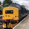 bc_train
