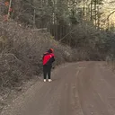 @white95rangerdanger