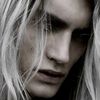 chicago__stevie