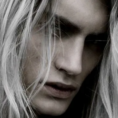 chicago__stevie