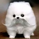 @dianahihihiha
