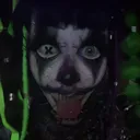 @bubblzdaclown