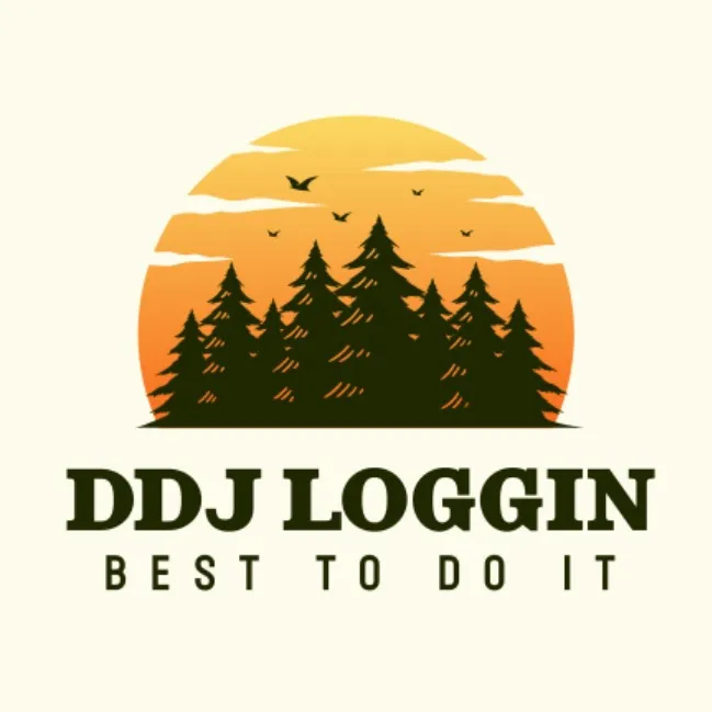 d.d.jlogging
