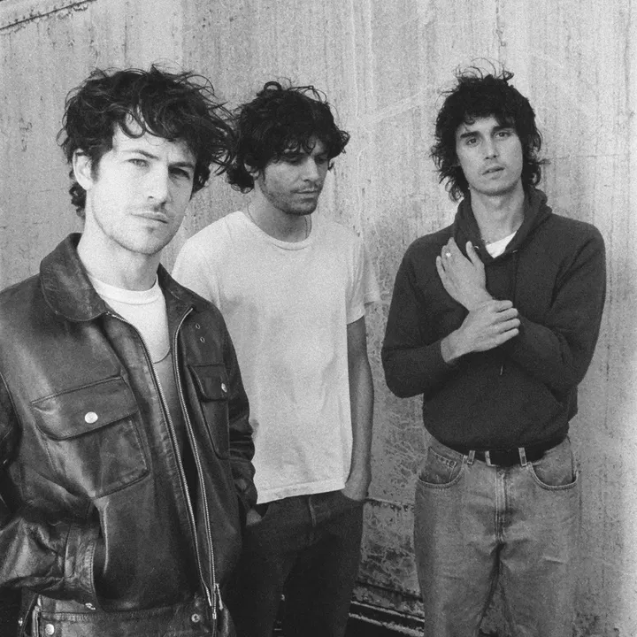 wallows