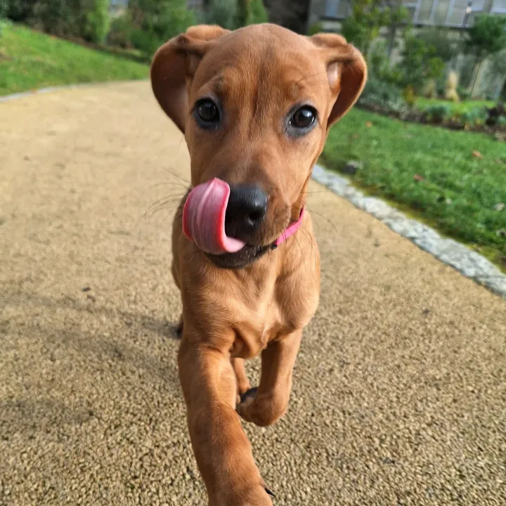 @kayin_the_rr