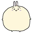 @cheezburgerswag