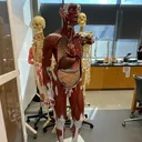 @aplearning0