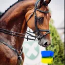 @horses_edit7_
