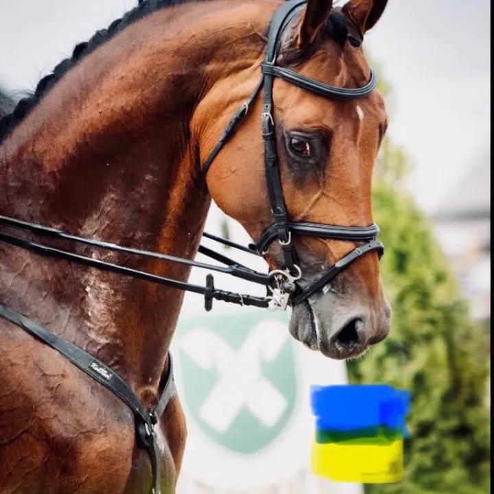 horses_edit7_