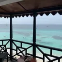 @samdat02