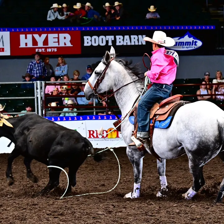cowboy_silva