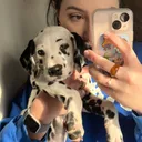 @maisydewey
