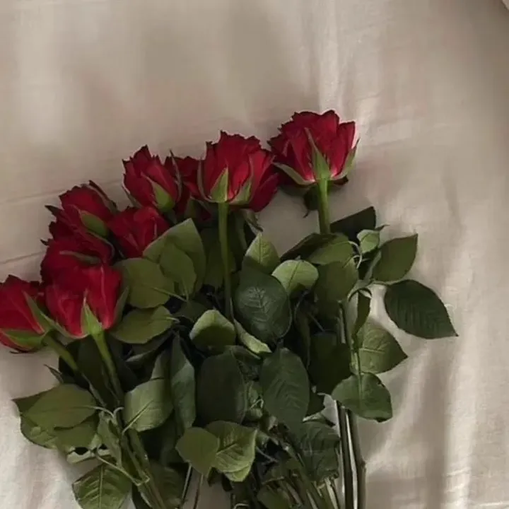 @ella.ti0