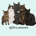 @five.meows