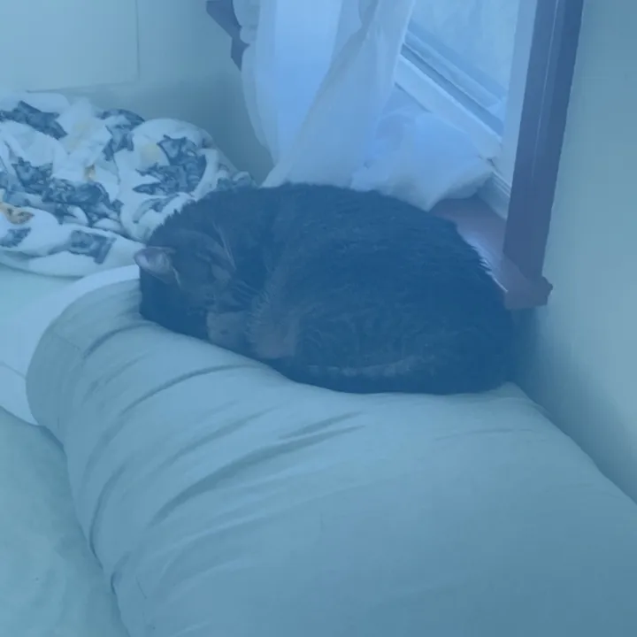 jasper.has_bitches