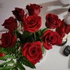 gilda_102