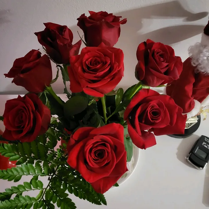 @gilda_102