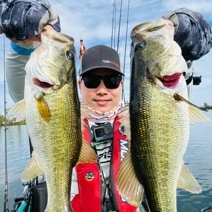@icatchbass_norcal