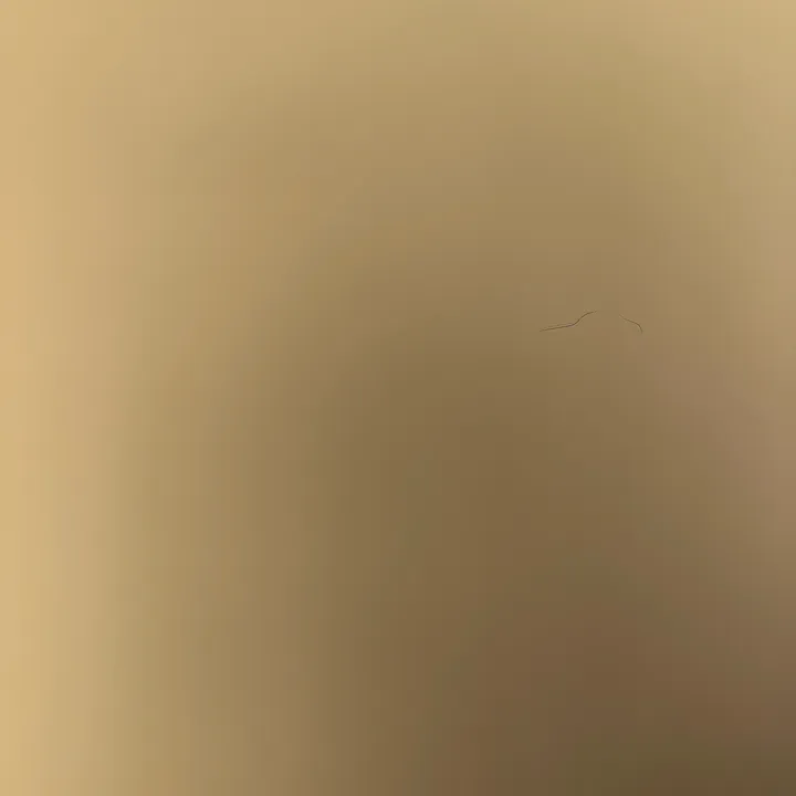 blondinka1211