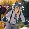 boof_loop