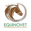 equinovetnicaragua