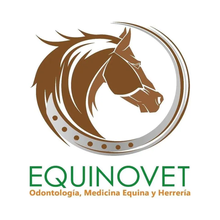 equinovetnicaragua