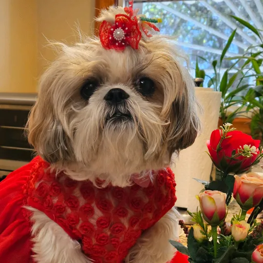 ruby05713