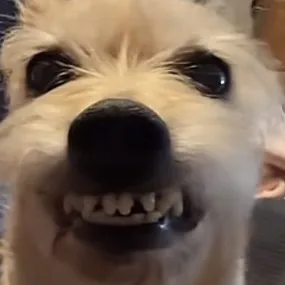 @idk.i.just.got.here3
