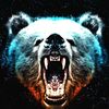 sgtbear