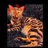 leopardcats216
