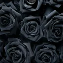 @darkrose1only