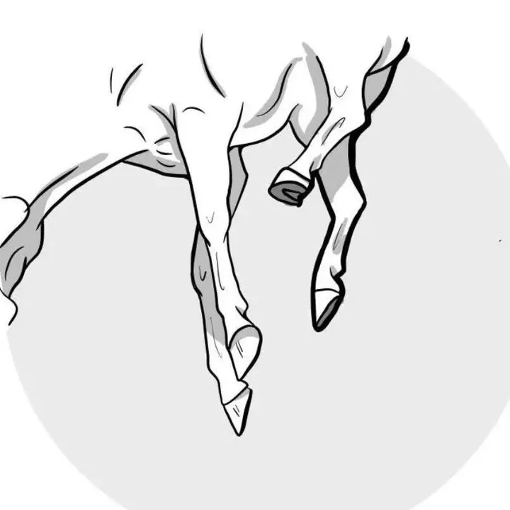 hanginghorses
