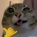 @notrealdante_1