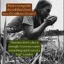 @gardeningsimplified