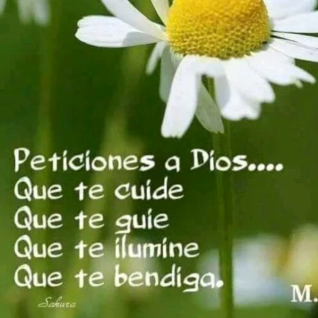user9197104450503